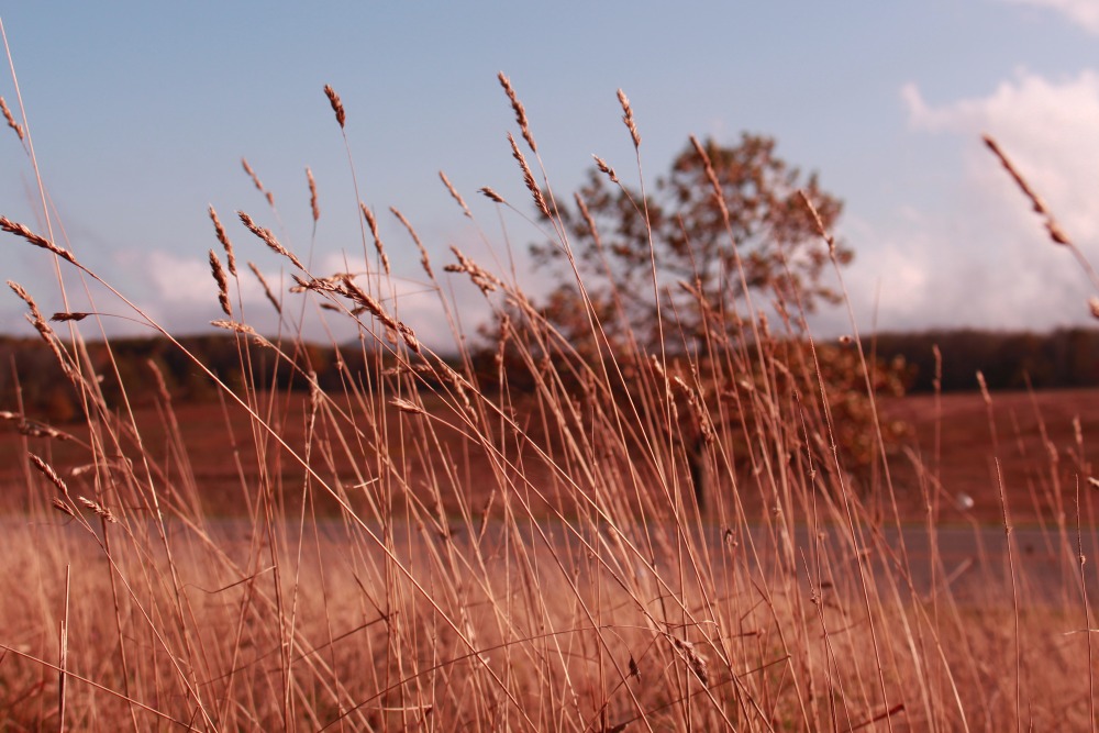 Yuki Ishibashi: Mother Nature