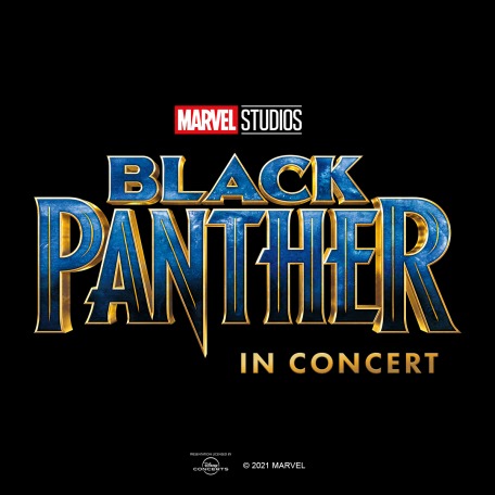 Black Panther In Concert