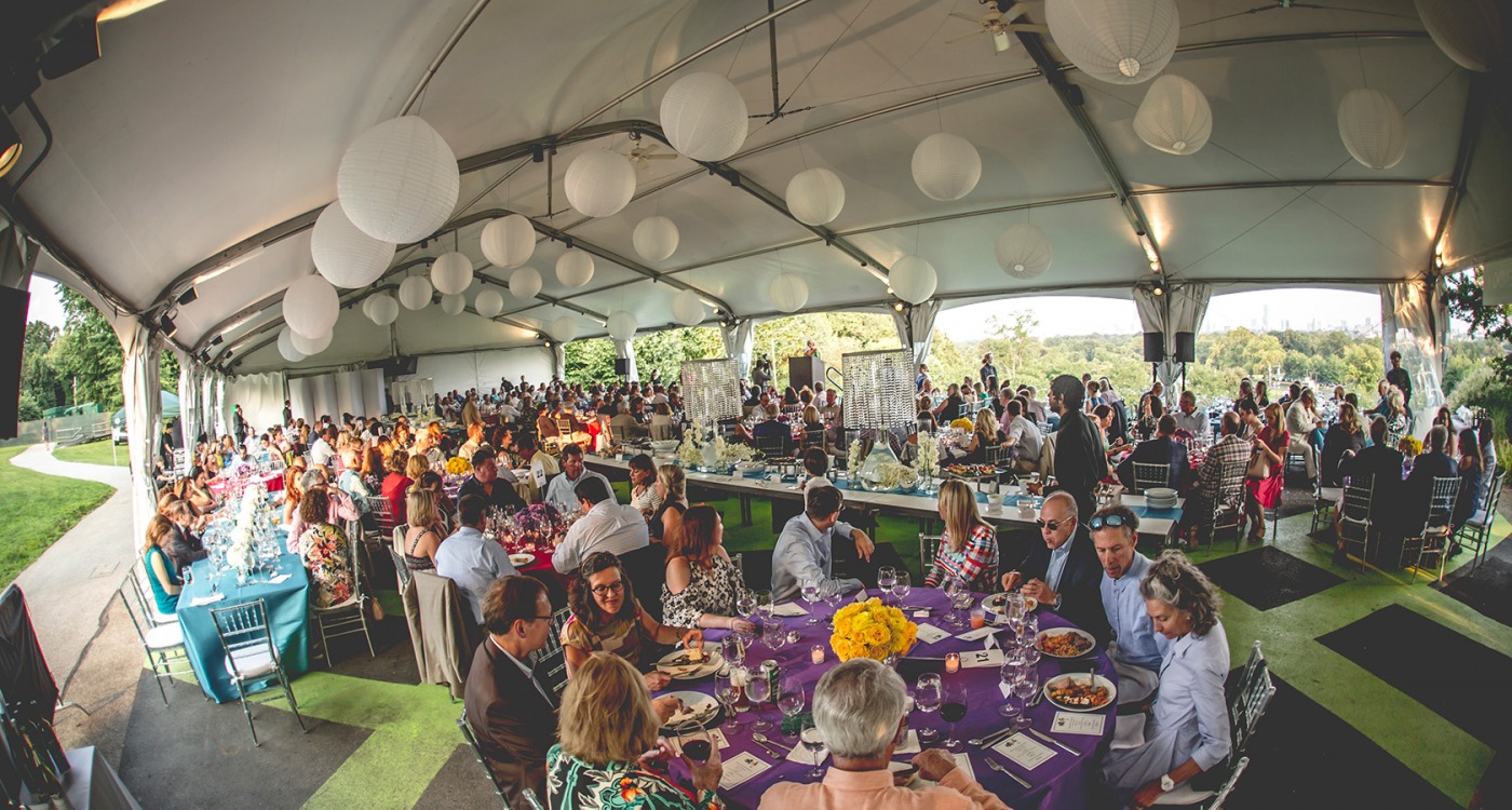 Party in the Park