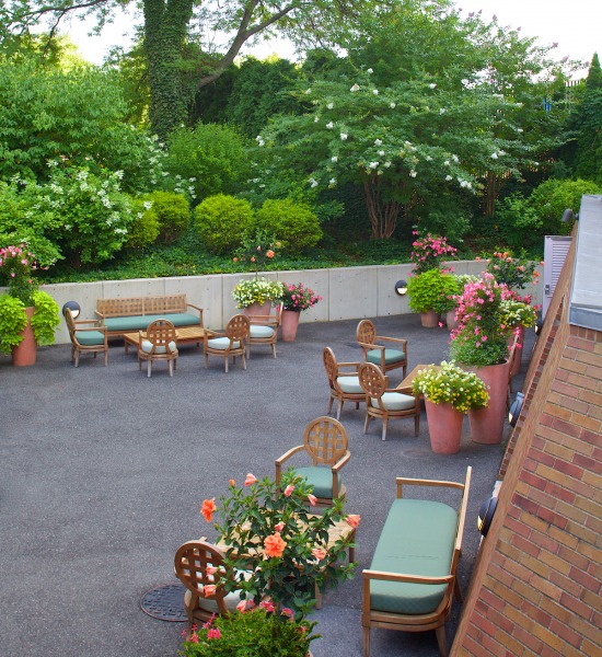 The Mann&#039;s donor terrace during the day