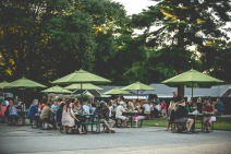 Picnic tables at the Mann