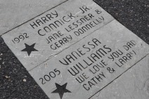 donor paver